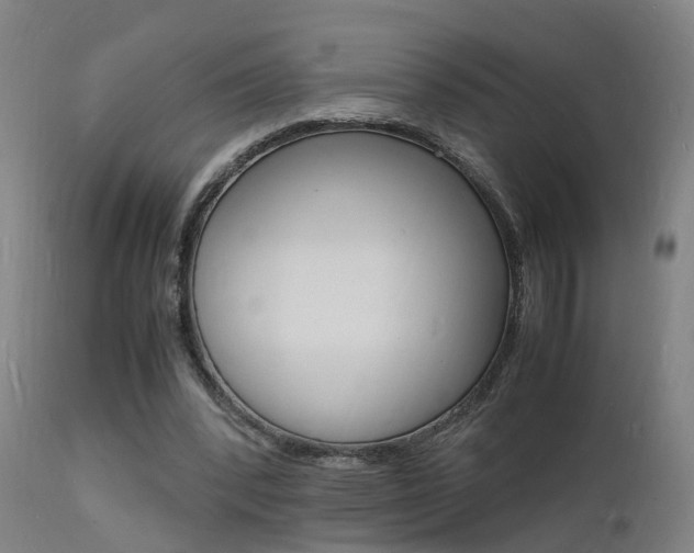 X0000112150392200908071008
