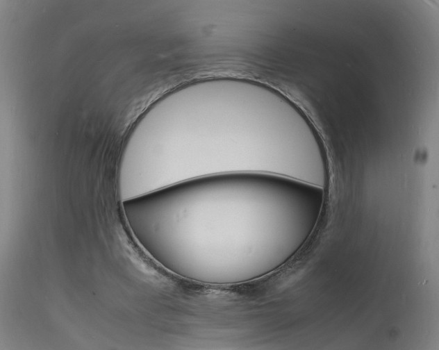 X0000112150393200908071008