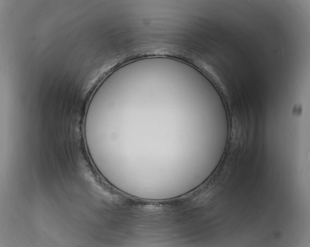 X0000112150394200908071008