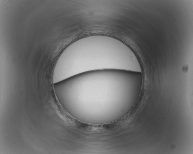X0000112150401200908071008