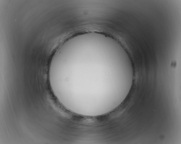 X0000112150402200908071008