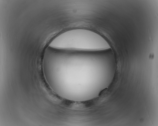 X0000112150403200908071008