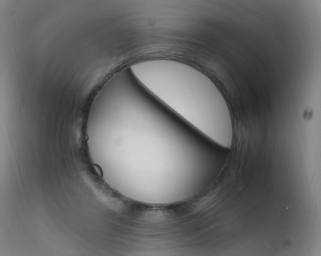 X0000112150404200908071008