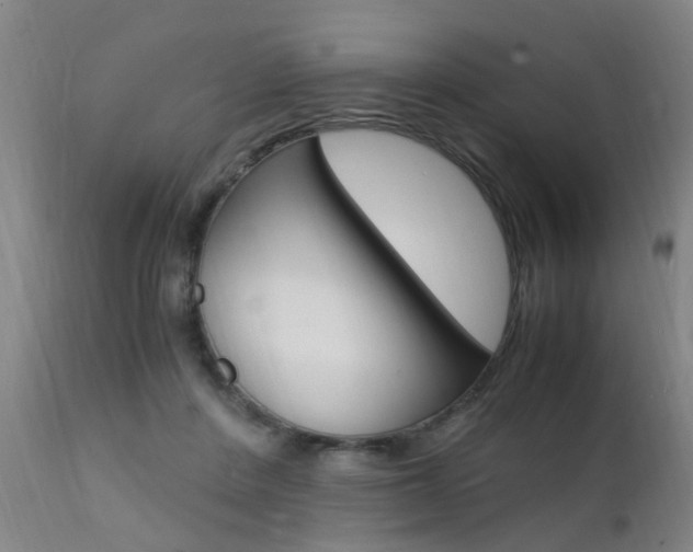 X0000112150408200908071008