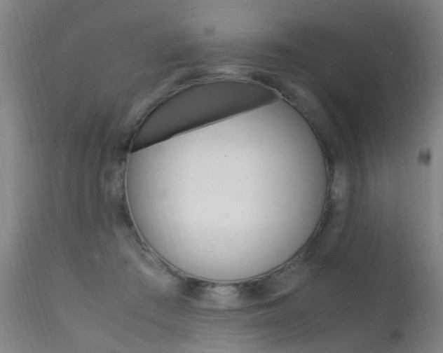 X0000112150409200908071008