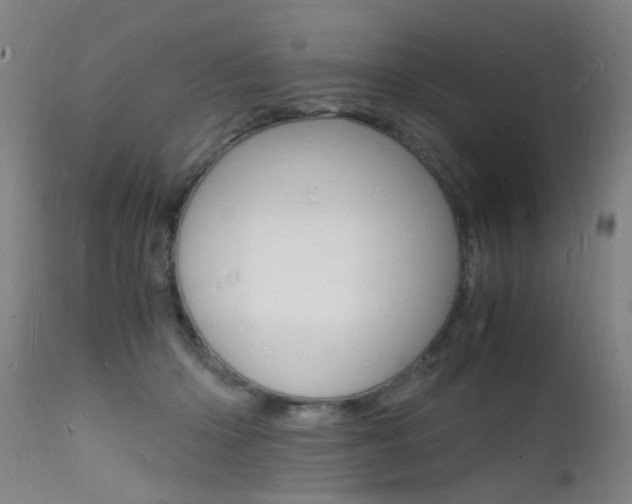 X0000112150414200908071007
