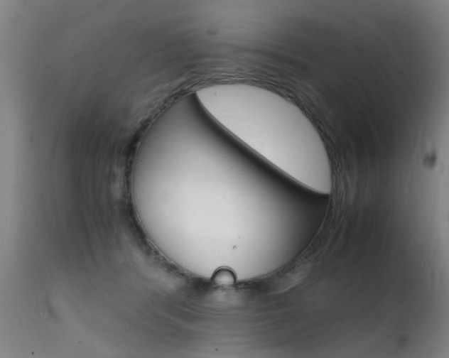 X0000112150416200908071007