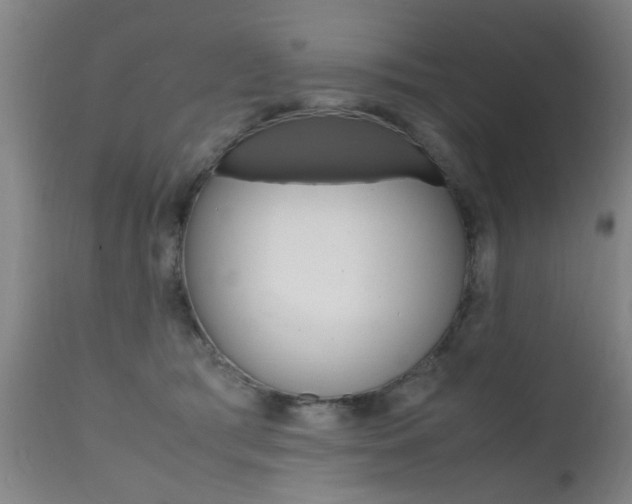 X0000112150417200908071007