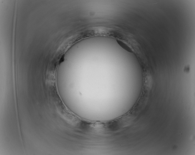 X0000112150419200908071007