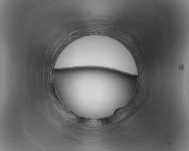 X0000112150421200908071007
