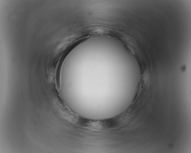 X0000112150423200908071007