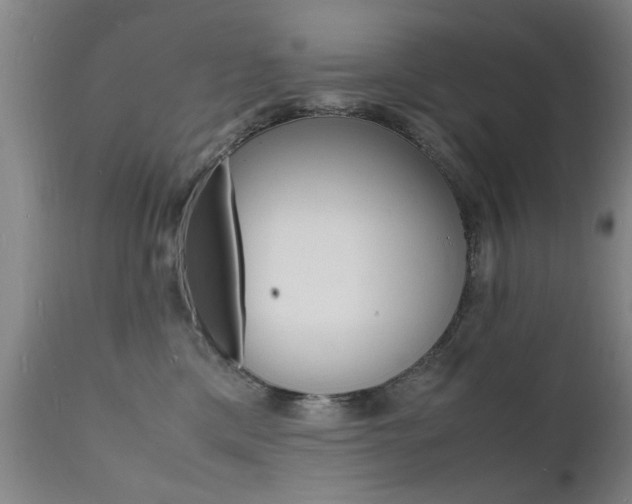 X0000112150425200908071007