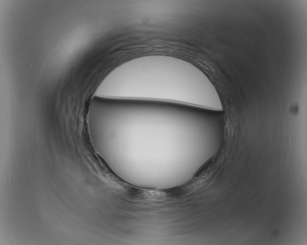 X0000112150429200908071007