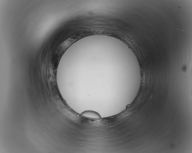 X0000112150430200908071007