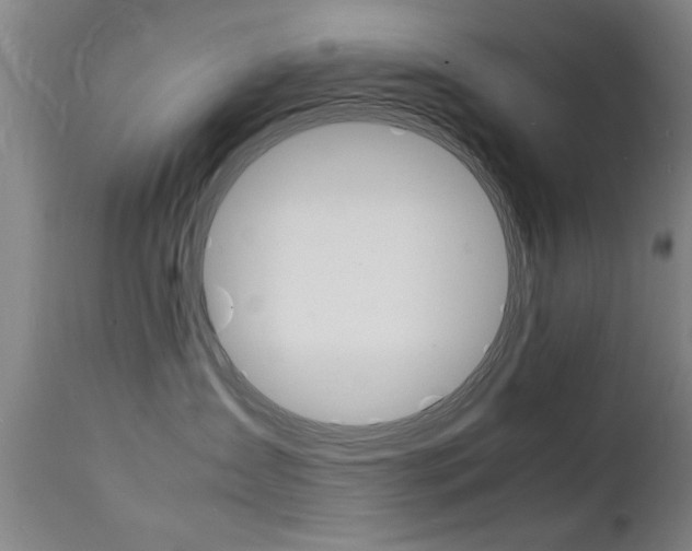X0000112150431200908071007
