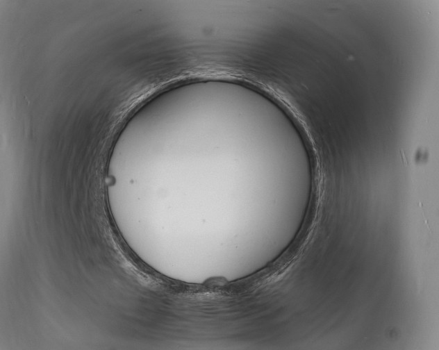 X0000112150433200908071007