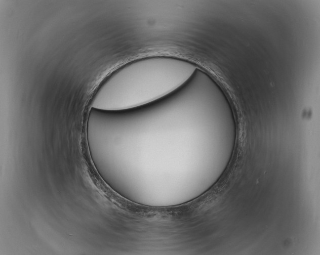 X0000112150434200908071007
