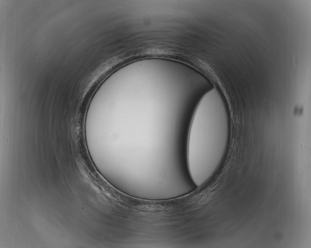 X0000112150435200908071007