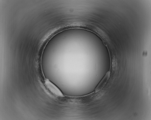 X0000112150436200908071007