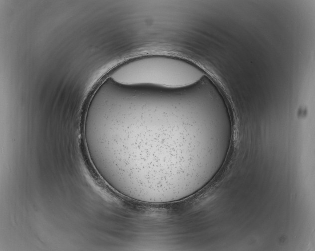 X0000112150438200908071007