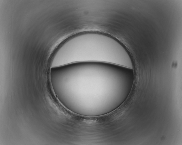 X0000112150440200908071007