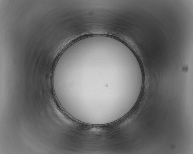 X0000112150441200908071007