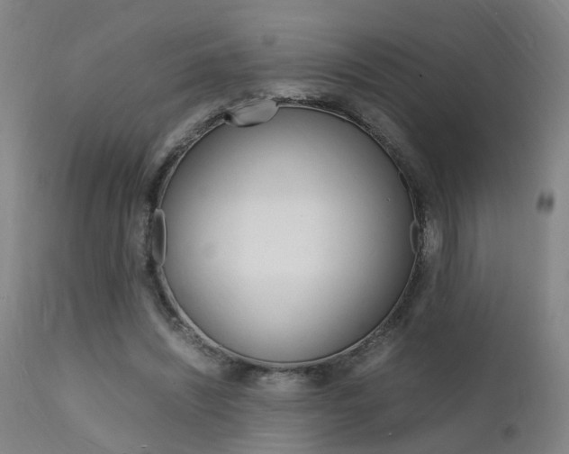 X0000112150444200908071007