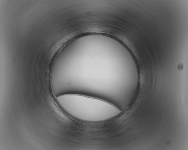 X0000112150445200908071007