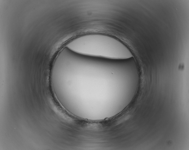 X0000112150446200908071007