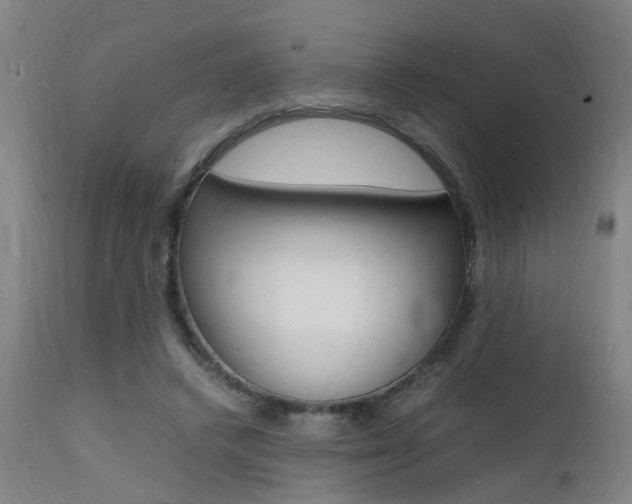X0000112150448200908071007