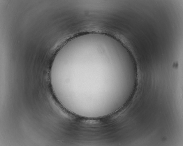 X0000112150449200908071007
