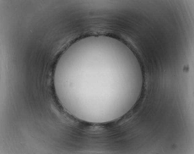 X0000112150451200908071007