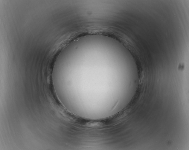 X0000112150452200908071007
