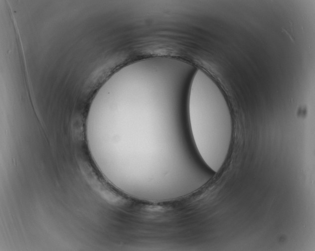 X0000112150453200908071007