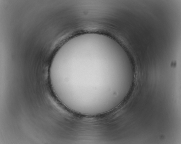 X0000112150454200908071007