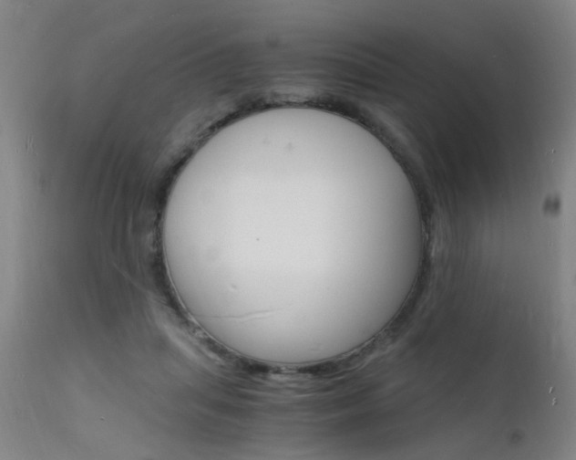 X0000112150455200908071007