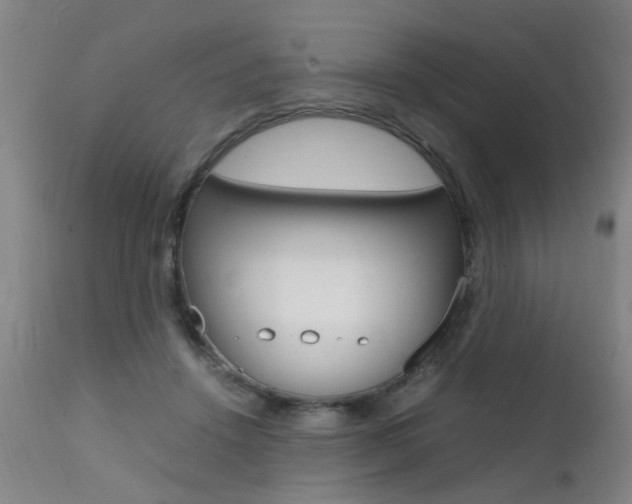 X0000112150456200908071007