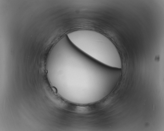X0000112150457200908071007