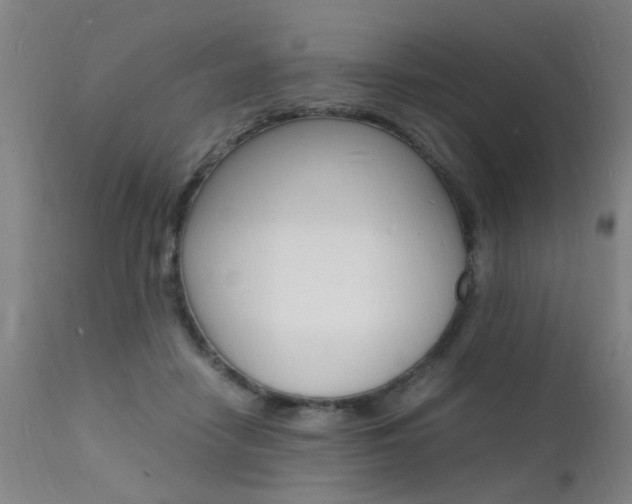 X0000112150458200908071007