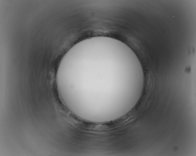X0000112150463200908071007
