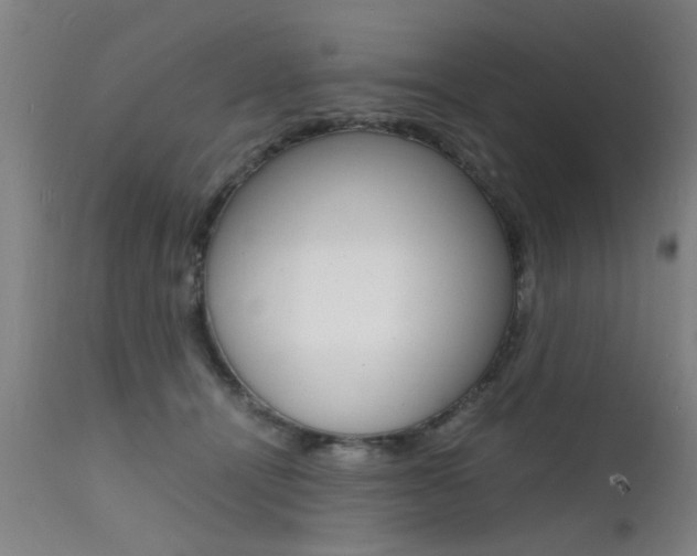 X0000112150464200908071007
