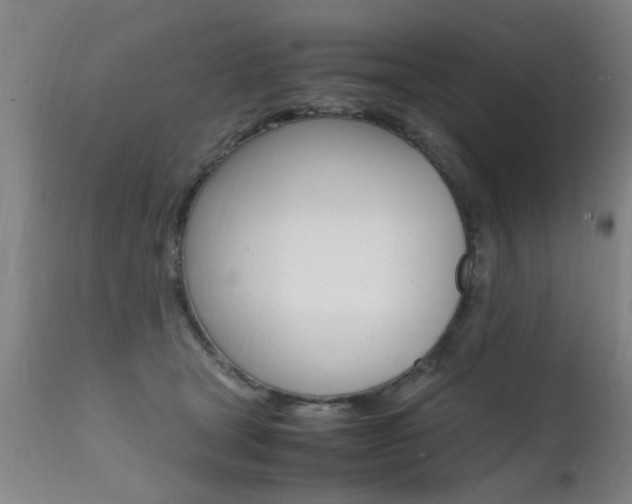 X0000112150465200908071007