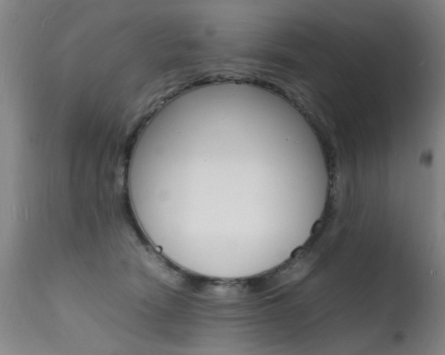 X0000112150466200908071007