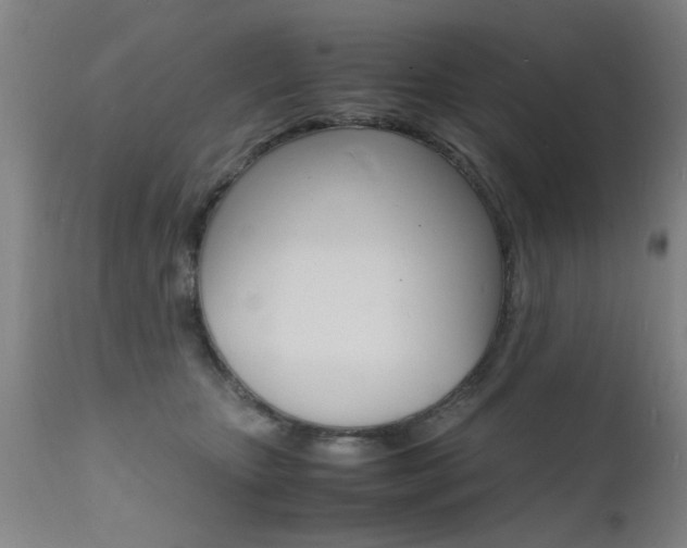 X0000112150467200908071007