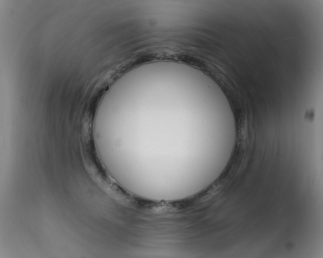 X0000112150468200908071007