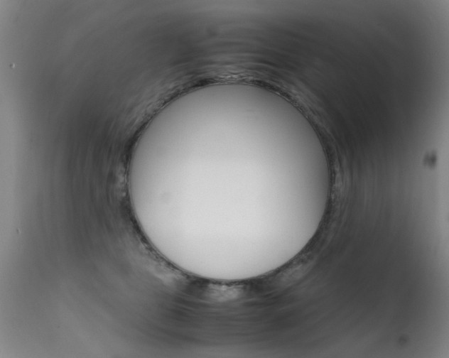 X0000112150469200908071007