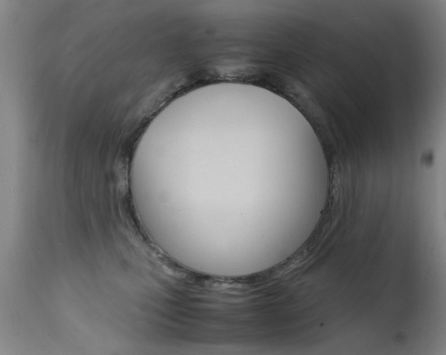 X0000112150471200908071007