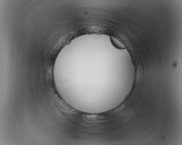 X0000112150473200908071007