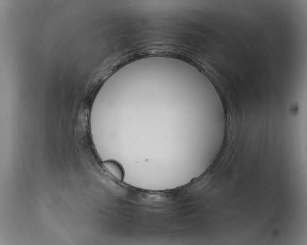 X0000112150475200908071007
