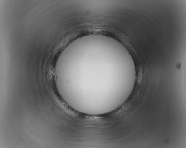 X0000112150476200908071007